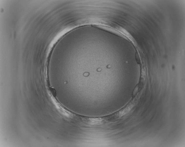 X0000052981144200507221321