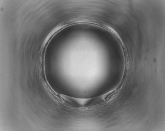 X0000052981146200507221321