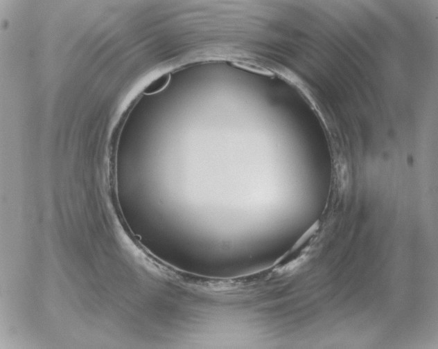 X0000052981147200507221321