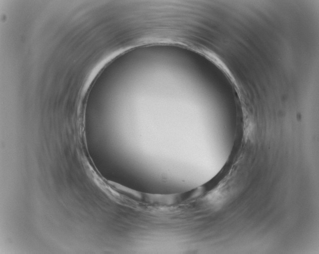 X0000052981148200507221321