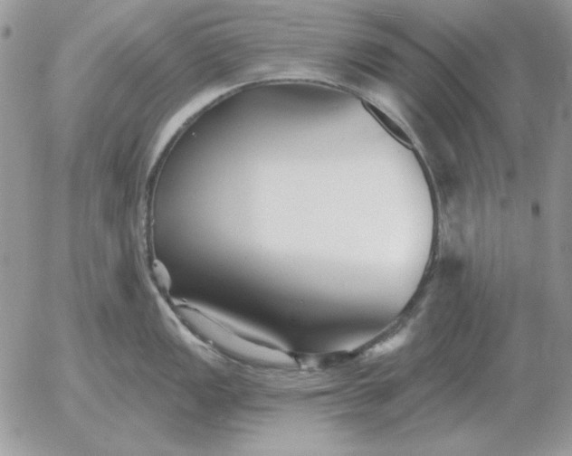 X0000052981149200507221321