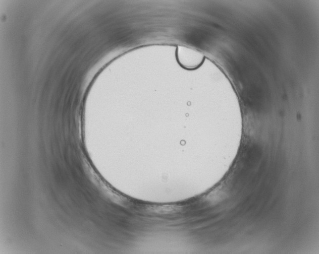 X0000052981150200507221321