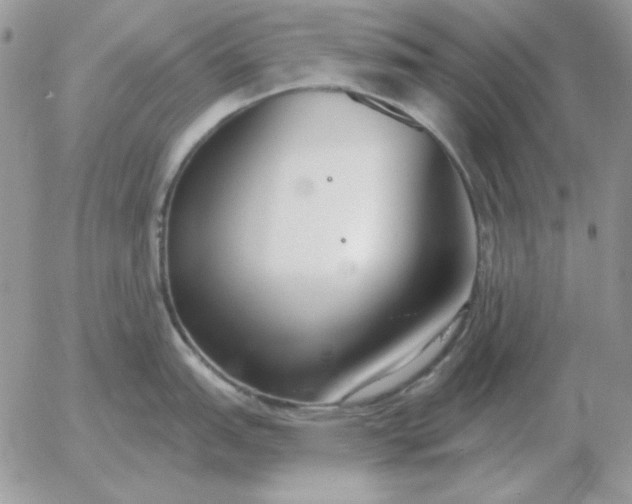 X0000052981151200507221321