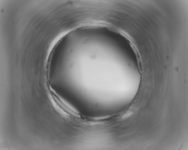 X0000052981152200507221321