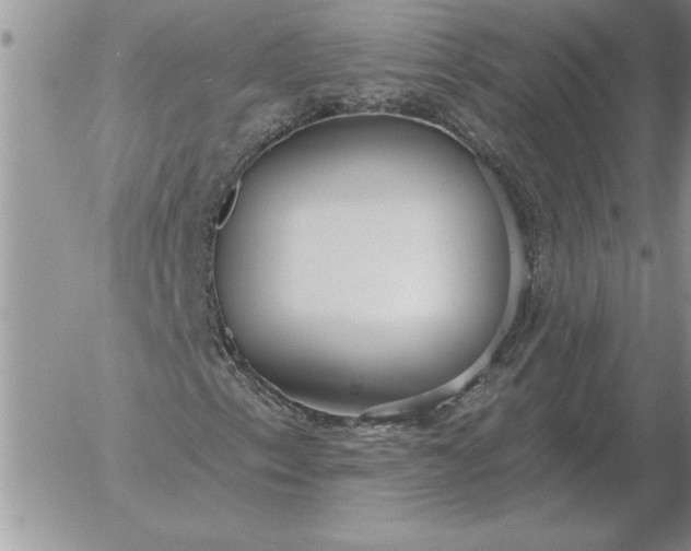 X0000052981153200507221320