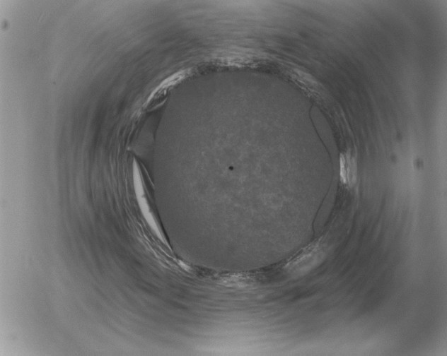 X0000052981155200507221320