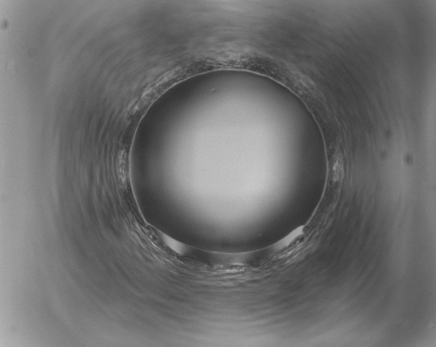 X0000052981156200507221320