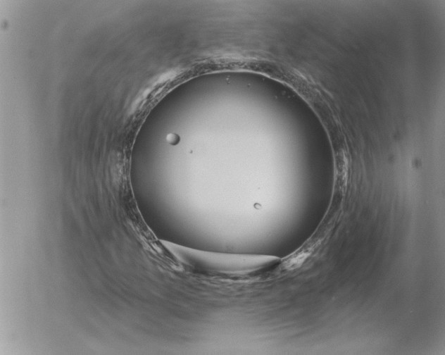 X0000052981157200507221320