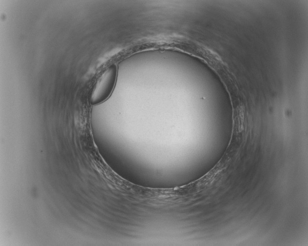 X0000052981158200507221320