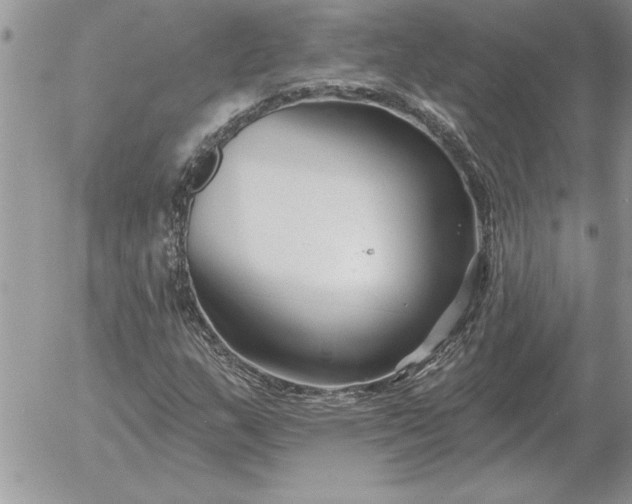 X0000052981159200507221320