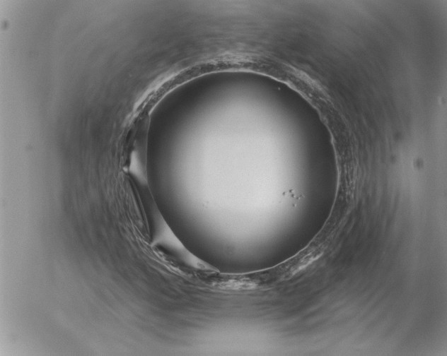 X0000052981160200507221320