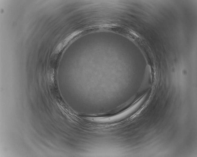 X0000052981161200507221320