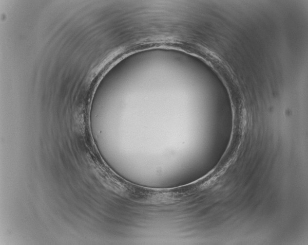 X0000052981162200507221320