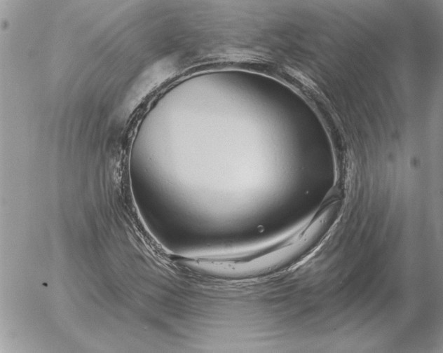 X0000052981163200507221320