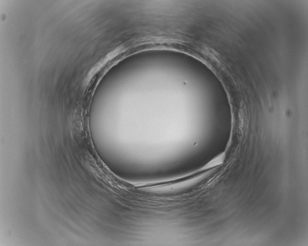 X0000052981165200507221320