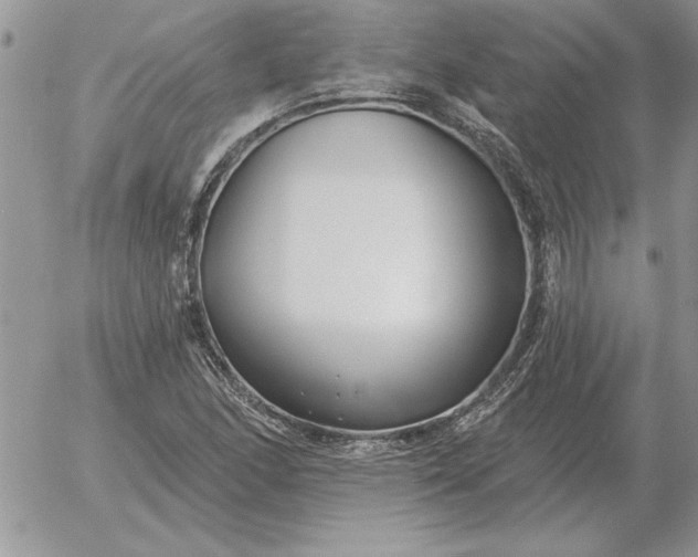 X0000052981166200507221320