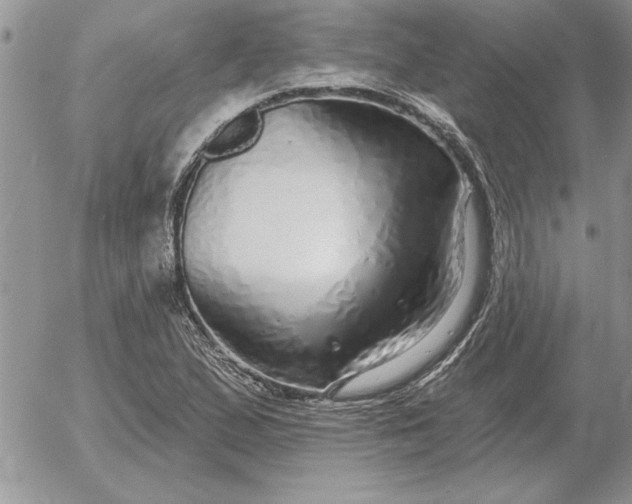 X0000052981167200507221320