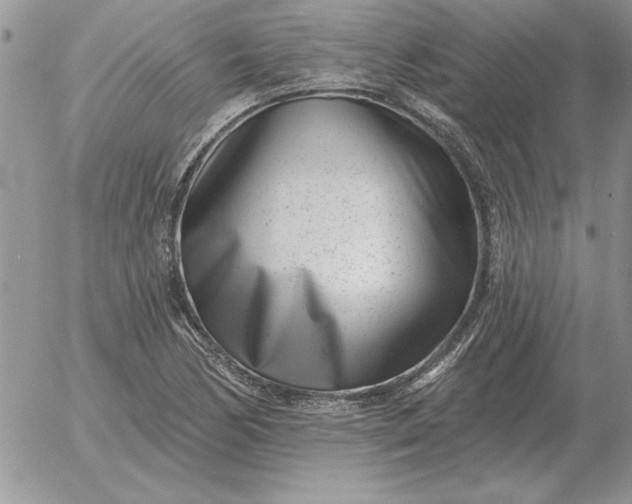 X0000052981170200507221320