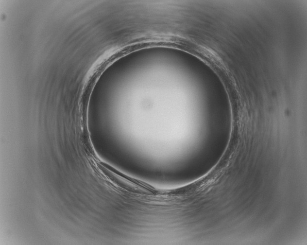 X0000052981172200507221320