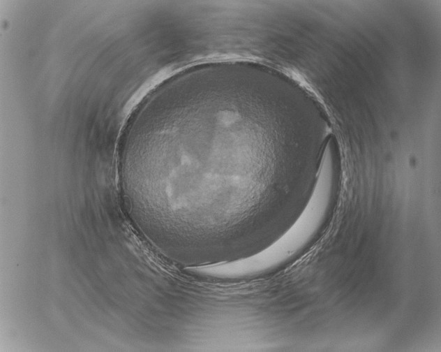 X0000052981173200507221320