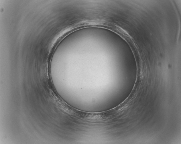 X0000052981174200507221320