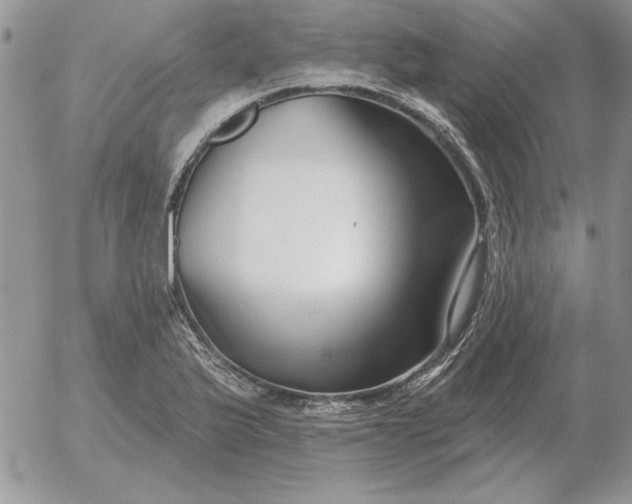 X0000052981175200507221320