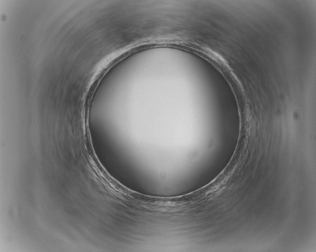 X0000052981176200507221320