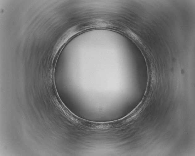 X0000052981178200507221320