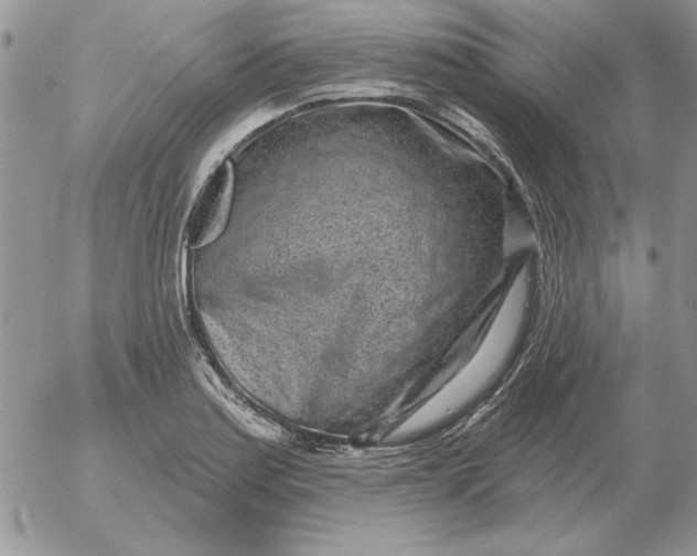 X0000052981179200507221320