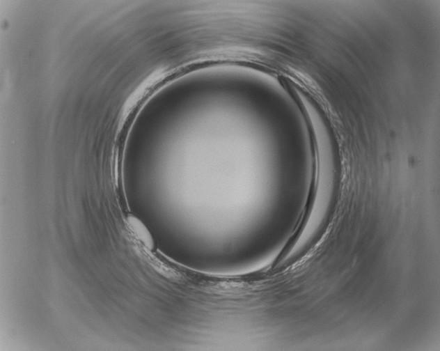 X0000052981180200507221320