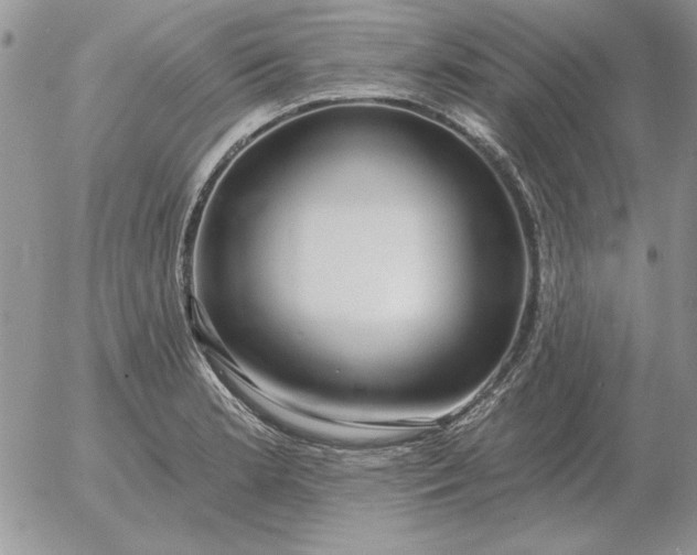 X0000052981181200507221320