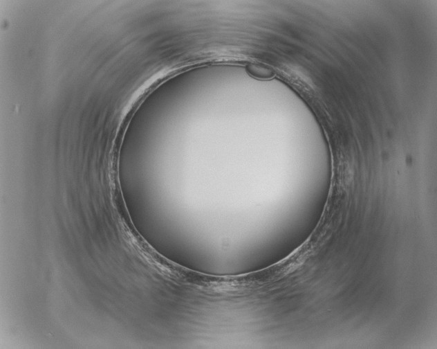 X0000052981182200507221320