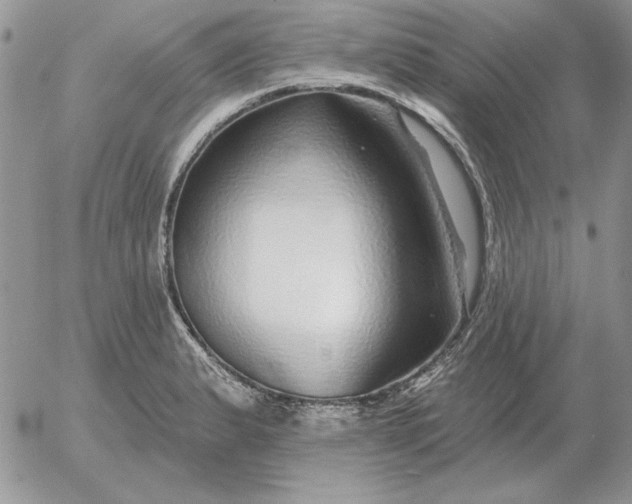 X0000052981183200507221320