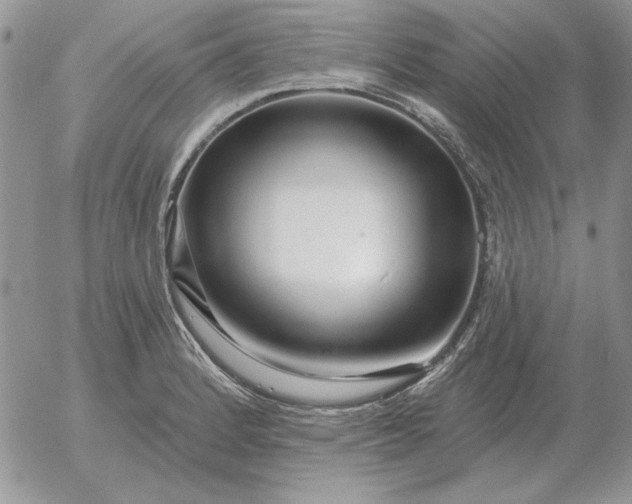 X0000052981184200507221320