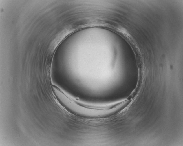 X0000052981185200507221320