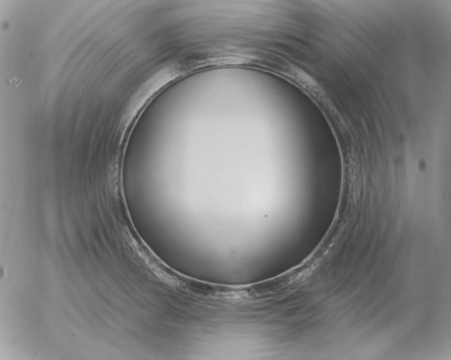 X0000052981186200507221320