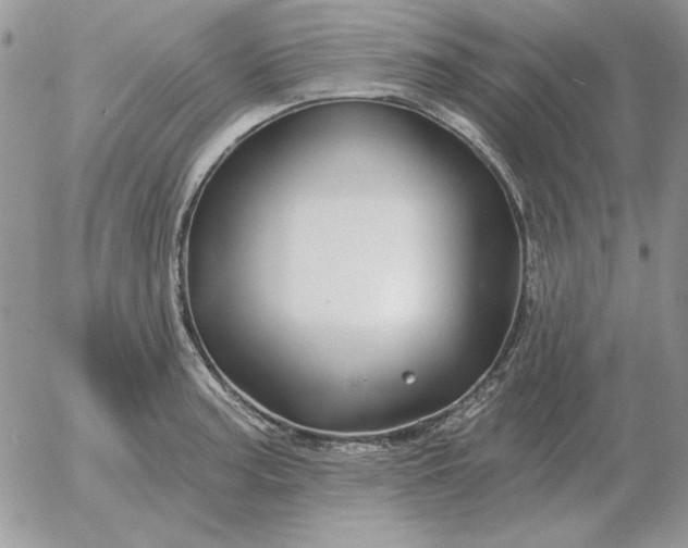 X0000052981187200507221320