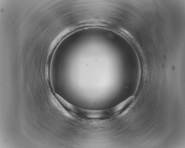 X0000052981188200507221320