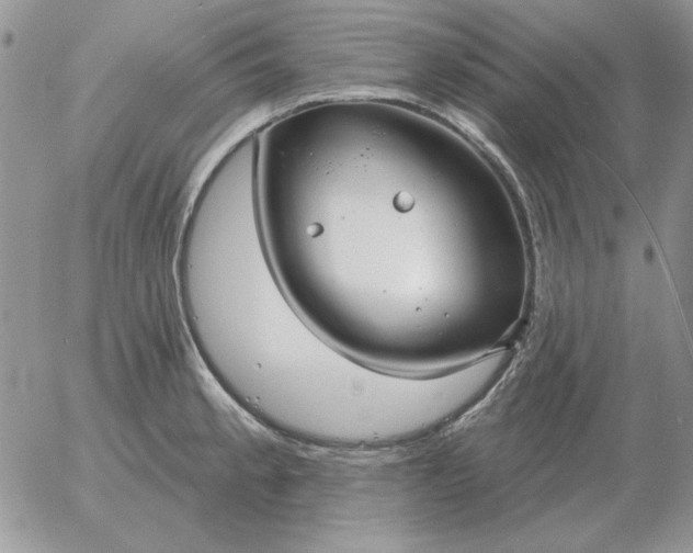 X0000052981189200507221320