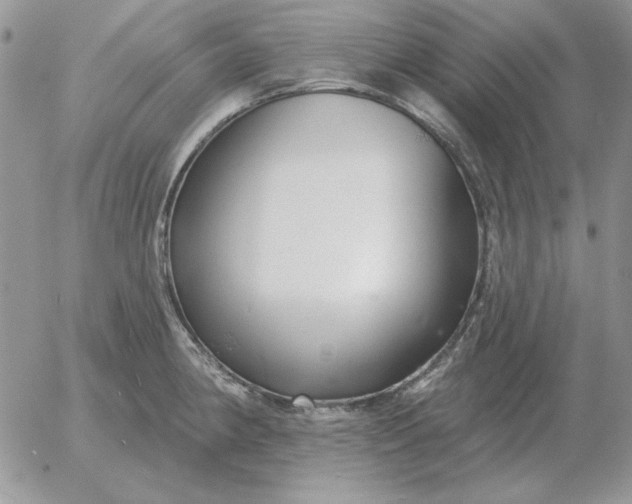 X0000052981190200507221320