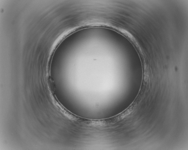 X0000052981191200507221320