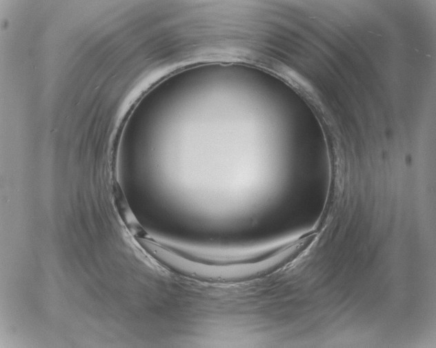 X0000052981192200507221320