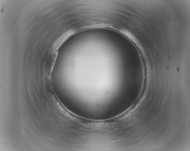 X0000052981193200507221320