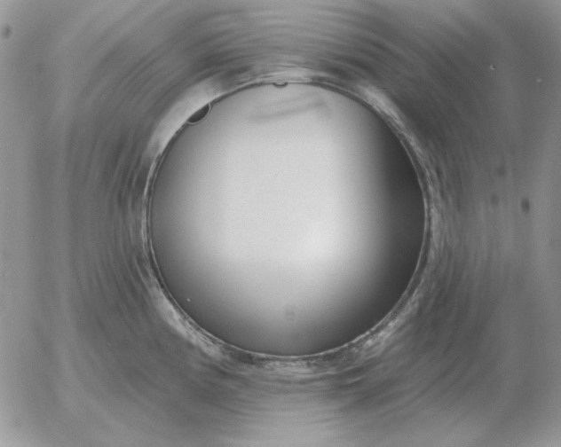 X0000052981194200507221320