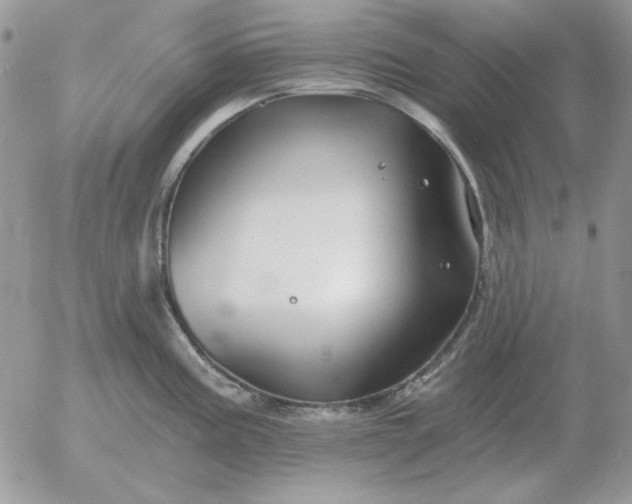 X0000052981195200507221320