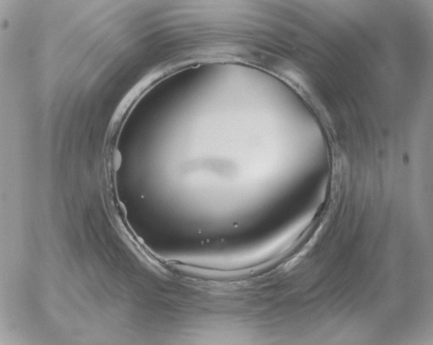 X0000052981196200507221320