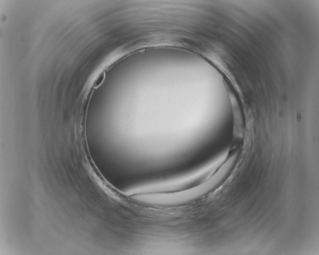 X0000052981197200507221320