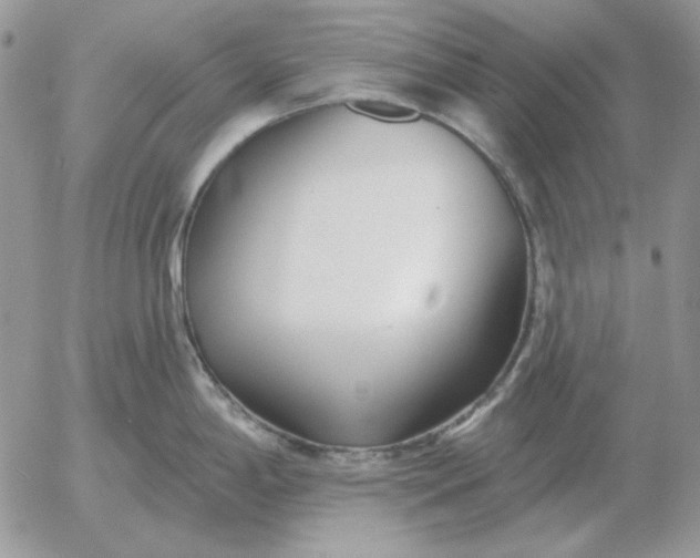 X0000052981198200507221320