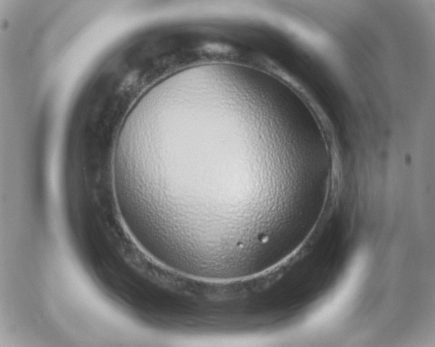 X0000052981199200507221320