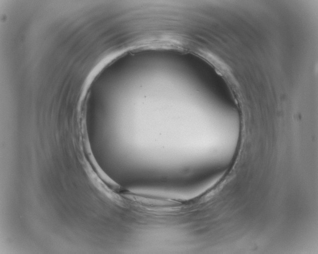 X0000052981200200507221319